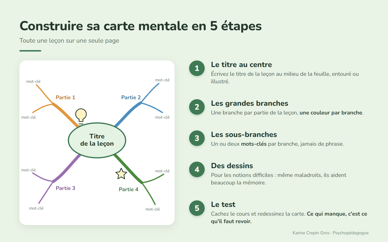 Infographie : construire sa carte mentale en 5 étapes. 1, le titre au centre ; 2, les grandes branches, une couleur par branche ; 3, les sous-branches, un ou deux mots-clés ; 4, des dessins pour les notions difficiles ; 5, le test : cacher le cours et redessiner la carte.